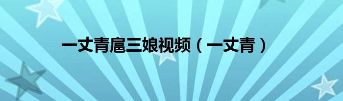 一丈青扈三娘视频（一丈青）