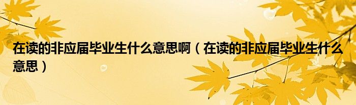 在读的非应届毕业生什么意思啊（在读的非应届毕业生什么意思）