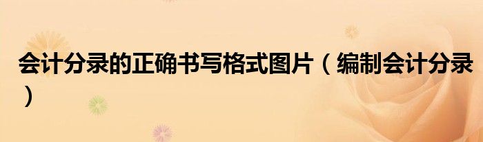 会计分录的正确书写格式图片（编制会计分录）