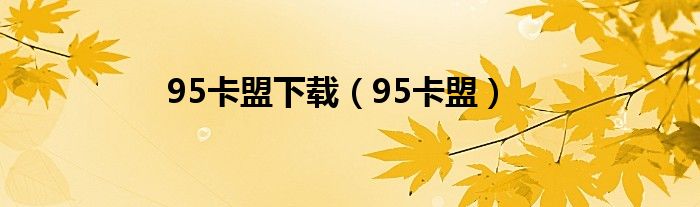 95卡盟下载（95卡盟）