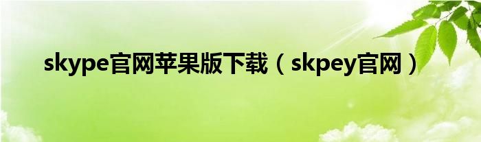 skype官网苹果版下载（skpey官网）