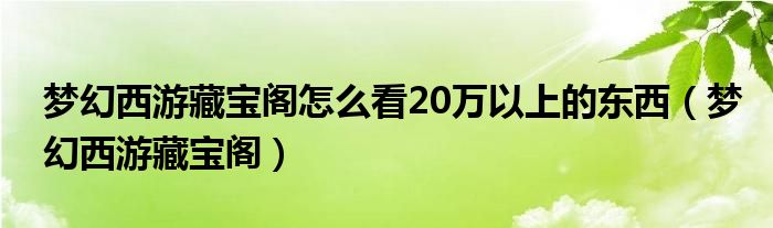 梦幻西游藏宝阁怎么看20万以上的东西（梦幻西游藏宝阁）