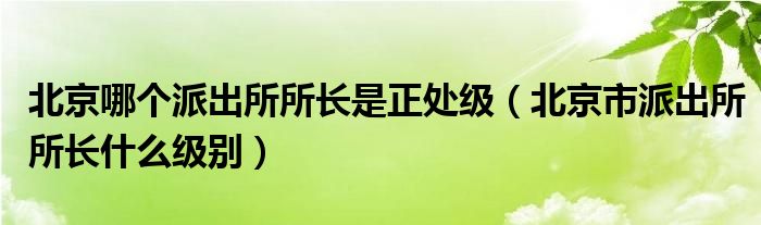 北京哪个派出所所长是正处级（北京市派出所所长什么级别）