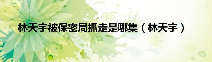 林天宇被保密局抓走是哪集（林天宇）