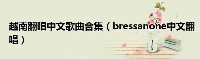 越南翻唱中文歌曲合集（bressanone中文翻唱）