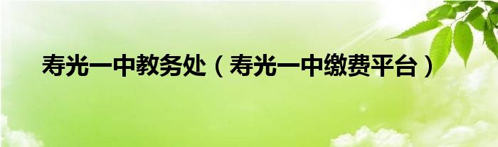 寿光一中教务处（寿光一中缴费平台）