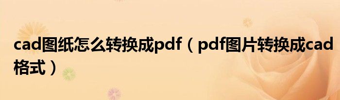 cad图纸怎么转换成pdf（pdf图片转换成cad格式）