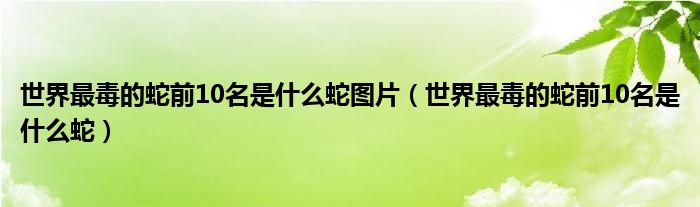 世界最毒的蛇前10名是什么蛇图片（世界最毒的蛇前10名是什么蛇）