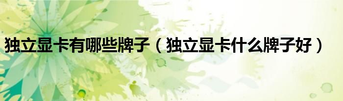 独立显卡有哪些牌子（独立显卡什么牌子好）