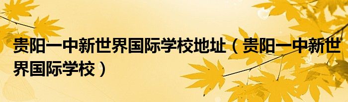 贵阳一中新世界国际学校地址（贵阳一中新世界国际学校）