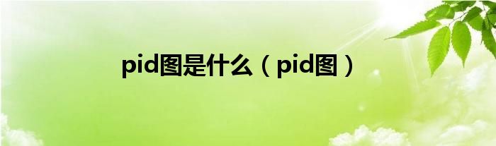 pid图是什么（pid图）