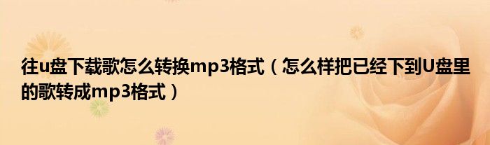 往u盘下载歌怎么转换mp3格式（怎么样把已经下到U盘里的歌转成mp3格式）