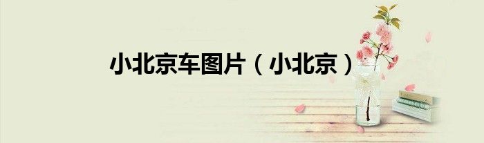 小北京车图片（小北京）