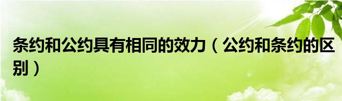 条约和公约具有相同的效力（公约和条约的区别）