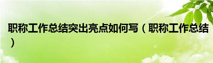 职称工作总结突出亮点如何写（职称工作总结）