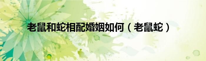 老鼠和蛇相配婚姻如何（老鼠蛇）