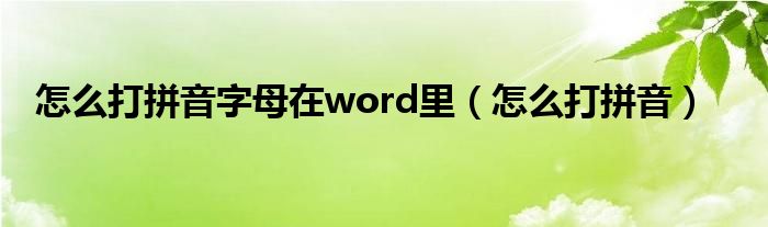 怎么打拼音字母在word里（怎么打拼音）