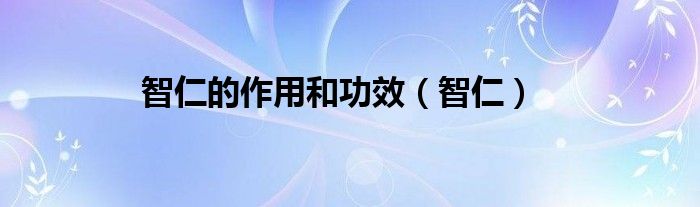 智仁的作用和功效（智仁）