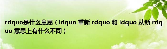 rdquo是什么意思（ldquo 重新 rdquo 和 ldquo 从新 rdquo 意思上有什么不同）