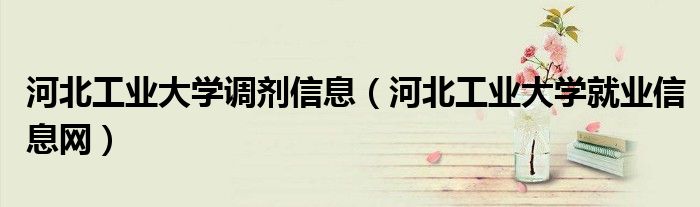 河北工业大学调剂信息（河北工业大学就业信息网）