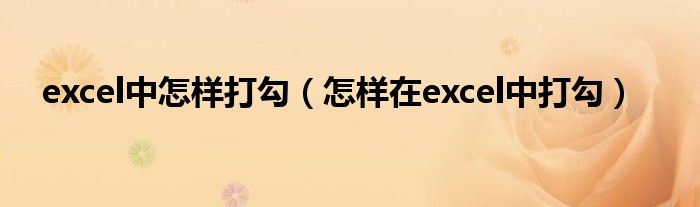 excel中怎样打勾（怎样在excel中打勾）