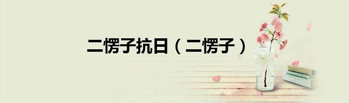 二愣子抗日（二愣子）