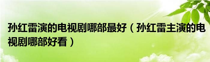 孙红雷演的电视剧哪部最好（孙红雷主演的电视剧哪部好看）