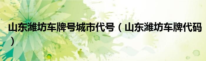 山东潍坊车牌号城市代号（山东潍坊车牌代码）
