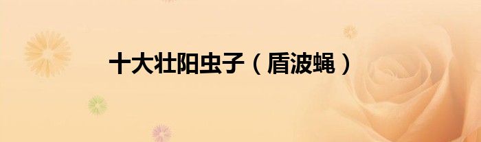 十大壮阳虫子（盾波蝇）