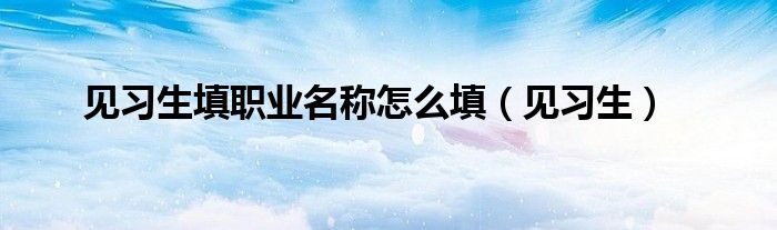 见习生填职业名称怎么填（见习生）