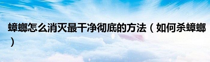蟑螂怎么消灭最干净彻底的方法（如何杀蟑螂）