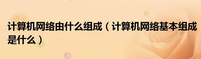 计算机网络由什么组成（计算机网络基本组成是什么）
