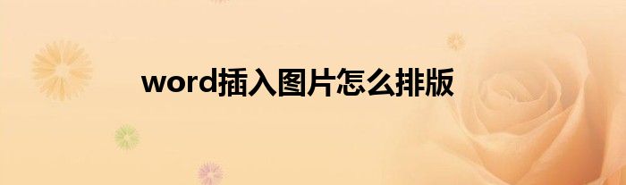 word插入图片怎么排版