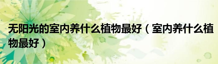 无阳光的室内养什么植物最好（室内养什么植物最好）
