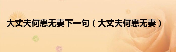 大丈夫何患无妻下一句（大丈夫何患无妻）