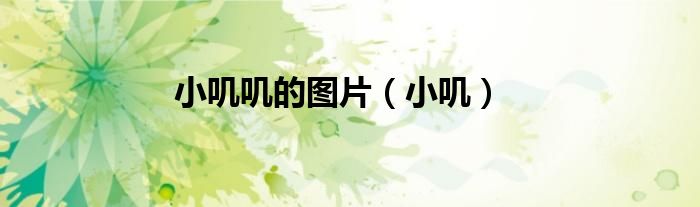 小叽叽的图片（小叽）