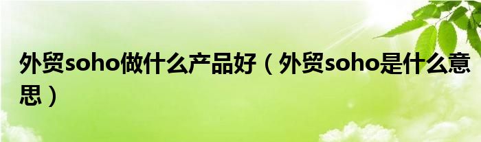 外贸soho做什么产品好（外贸soho是什么意思）