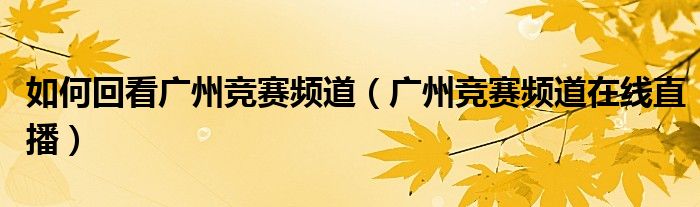 如何回看广州竞赛频道（广州竞赛频道在线直播）