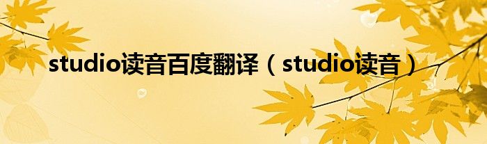 studio读音百度翻译（studio读音）
