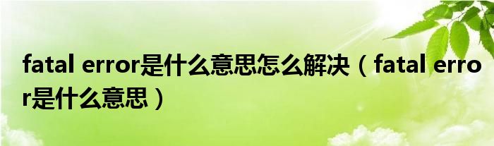 fatal error是什么意思怎么解决（fatal error是什么意思）