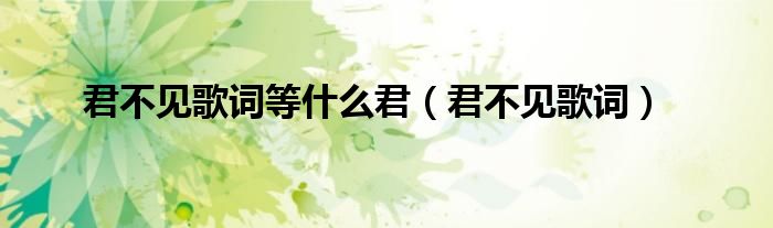 君不见歌词等什么君（君不见歌词）