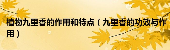 植物九里香的作用和特点（九里香的功效与作用）