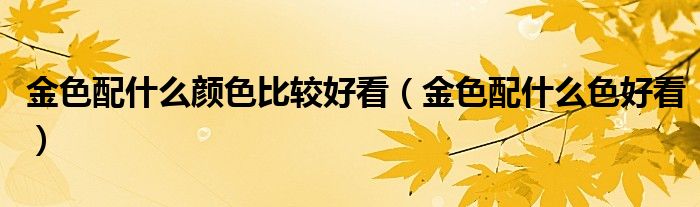 金色配什么颜色比较好看（金色配什么色好看）