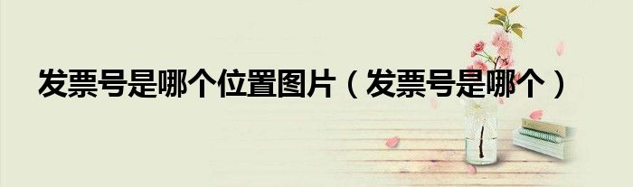 发票号是哪个位置图片（发票号是哪个）