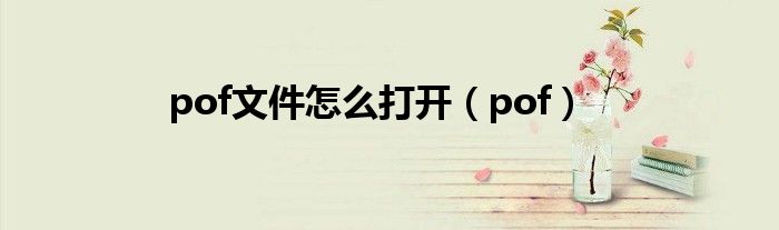 pof文件怎么打开（pof）