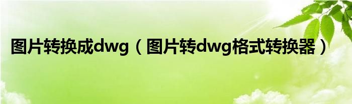 图片转换成dwg（图片转dwg格式转换器）