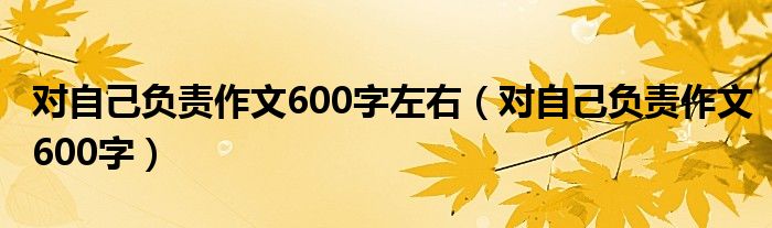 对自己负责作文600字左右（对自己负责作文600字）
