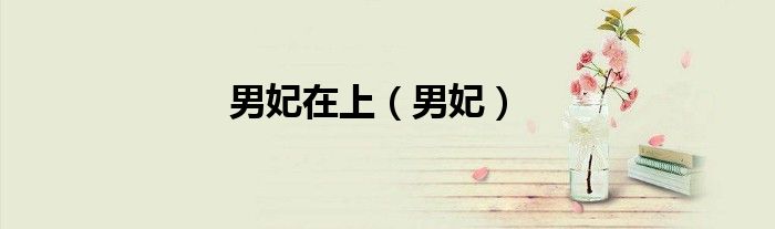 男妃在上（男妃）