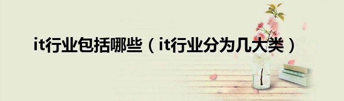 it行业包括哪些（it行业分为几大类）