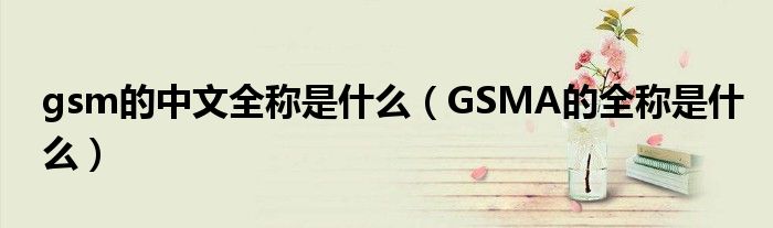 gsm的中文全称是什么（GSMA的全称是什么）